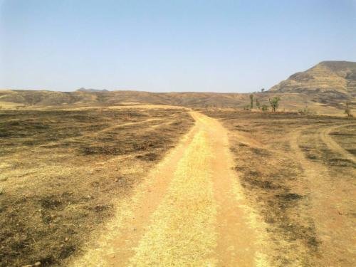 Palashi Shirwal 55 Acres Photo 2